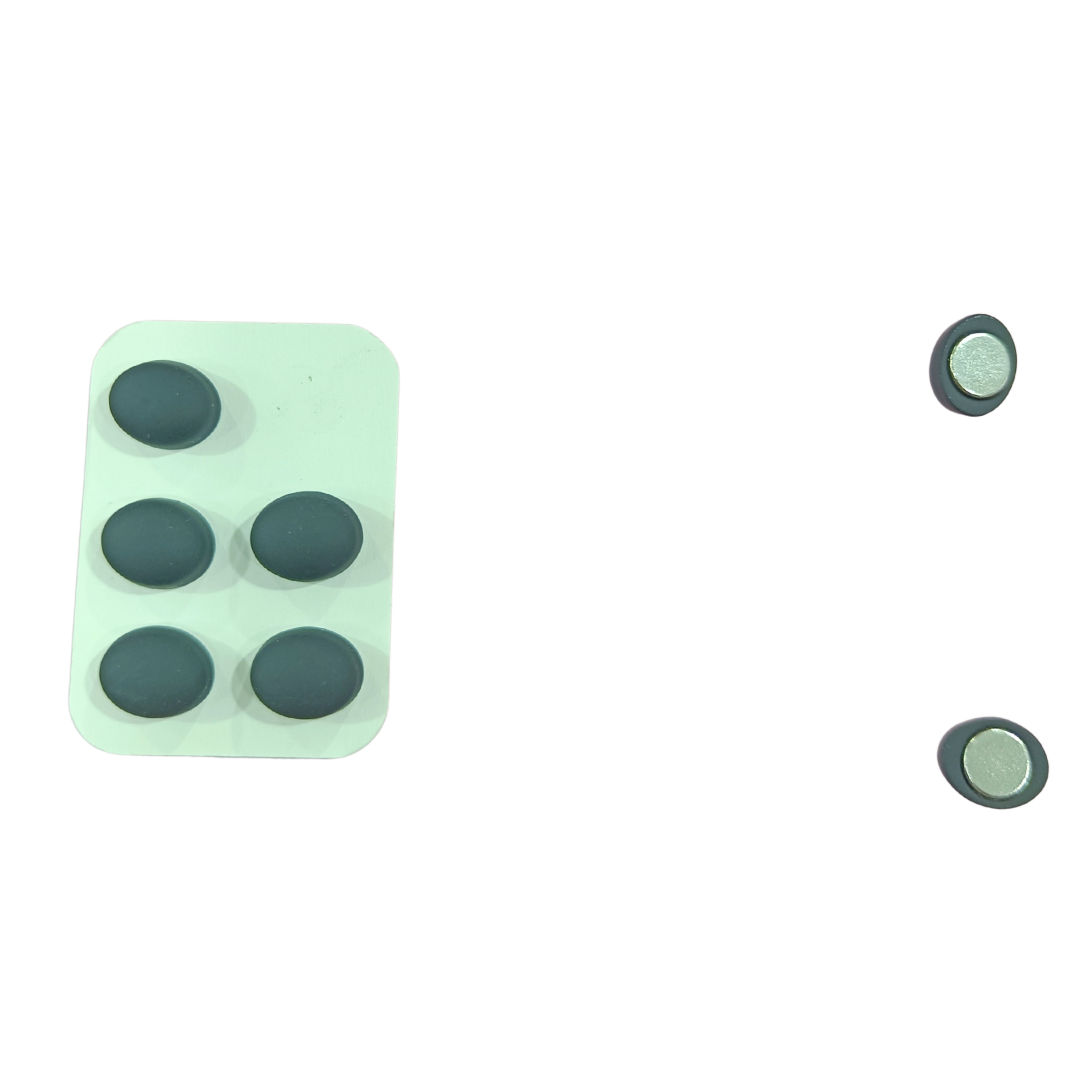 🧲 Oval Hijab Magnets Set – Box of 6 (Classic Matte Finish)- MP-015